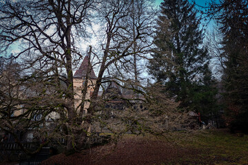 Peleș Castle in Transylvania .