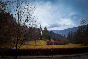 Peleș Castle in Transylvania .