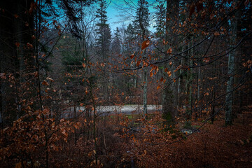 Peleș Castle in Transylvania .