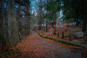 Peleș Castle in Transylvania .