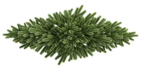 christmas tree isolated on white