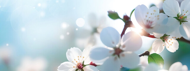 Beautiful spring natural background with apple tree flowers close-up. - obrazy, fototapety, plakaty
