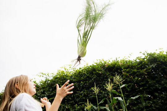 Low angle view of girl throwing fennel bulb