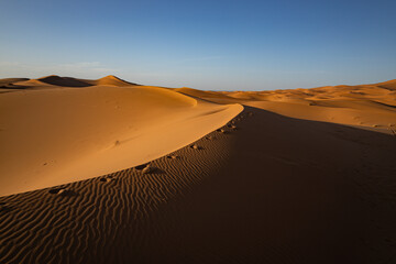 Fototapeta na wymiar Morocco desert dunes Erg Chebbi