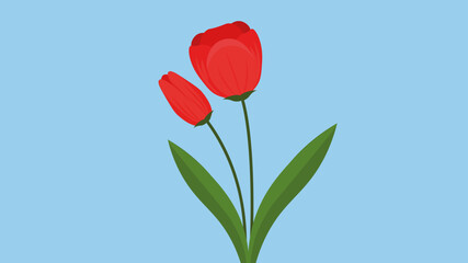 Red tulips on a blue background. Vector illustration in flat style.