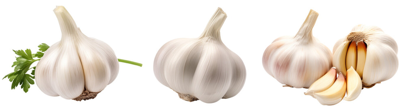 Garlic bulb collection isolated on a white background, vegetable bundle