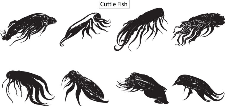 Set  of cuttle fish, cuttle fish silhouette, sea life silhouette