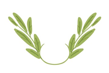 Green leaf illustration on white background.