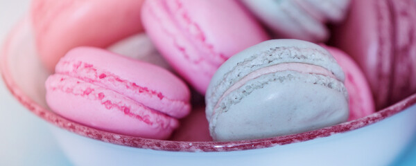 Pastel color french macarons in a bowl, banner
