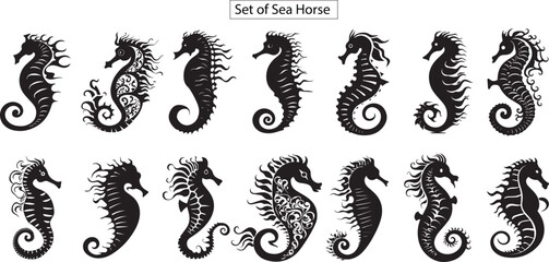 Set of sea horse silhouette, - obrazy, fototapety, plakaty