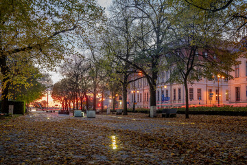 Autumn avenue in the centre of Szczecin,Poland - obrazy, fototapety, plakaty