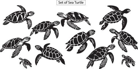 Silhouette set of turtle, sea animal silhouette