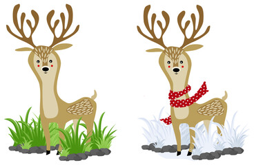 Vector deers in summer and winter. 