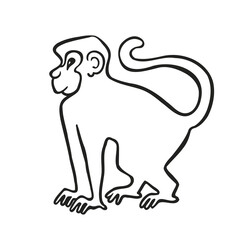Monkey line, symbol, vector illustration eps 10