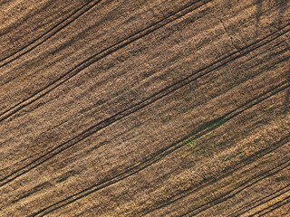 field from above, grain, wheat, background - obrazy, fototapety, plakaty