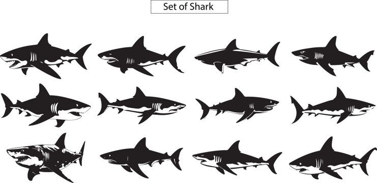12 sharks silhouette set