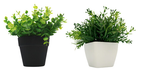 Artificial plants in black and white pots on transparent background png