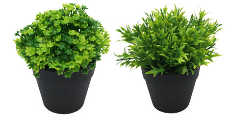 different artificial plant in black pots transparent background png