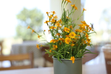 yellow flower in coffee cafe 