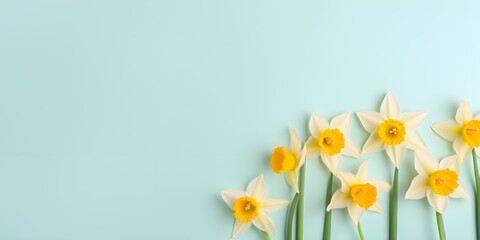 Daffodil flowers on pastel background. Creative lifestyle, summer, spring concept. Copy Space. Generative AI