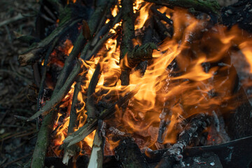 Closeup view of a flames of a fire	
