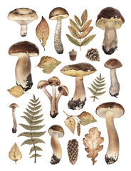 Watercolor illustrations of autumn forest nature: mushrooms, leaves and cones. Cottegecore style. Perfect for home textile, packaging design, posters, stationery and other printed goods - obrazy, fototapety, plakaty