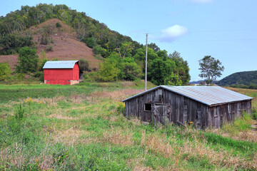 A ramshackle storage shed sits in a field near a bright red barn on a Midwestern farm. Behind the farm is a tree-covered hill. Green grass, late summer colors, brown dirt, blue partly-cloudy sky.
