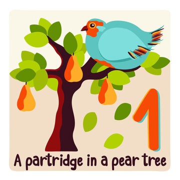 Partridge in pear tree. Twelve days of Christmas. Vector illustration.