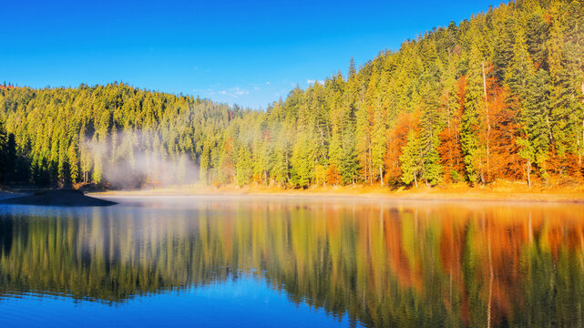 autumnal landscape with lake among spruce forest. sunny morning with blue sky and mist reflecting on the rippled water surface