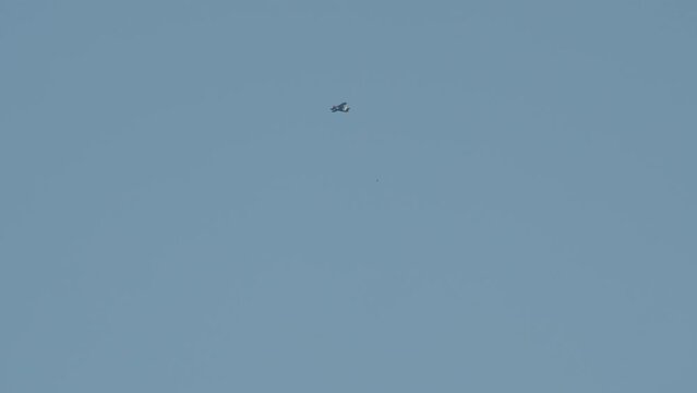 Skydivers jumping from a sports plane.