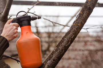 Spraying Fruit Tree with Organic Pesticide or Insecticide in Winter or early Spring. Spraing Trees...
