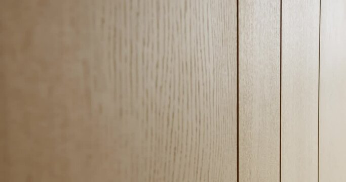 Closeup on wall with wooden panel decoration. Wood plank stripes in apartment with modern interior. Natural materials in design. Wood texture