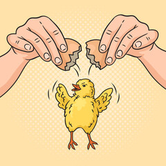 Chef hands breaking egg and chicken hatched from the egg pinup pop art hand drawn retro hand drawn raster illustration. Comic book style imitation.