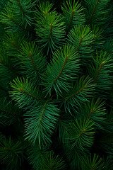 Fir branches green needle abstract background Christmas texture. Vertical composition.