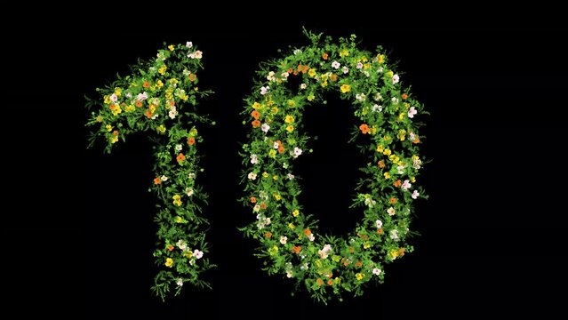 Number 10 with grass and colorful flowers on plain black background