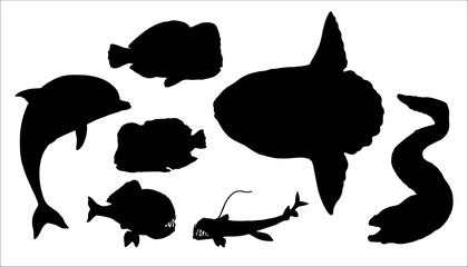 Set with fish silhouettes: ghumphead parrotfish, moray eel, sunfish, dolphin and frogfish. Vector  illustration to cut out and glue.	 - obrazy, fototapety, plakaty