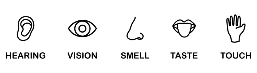 Human sense icons. Five human senses icons. Hearing, vision, smell, taste, touch symbol collection. Five fillings icons