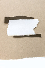 Paper different shapes scraps isolated on gray background White Ripped Piece of Paper isolated. Top...