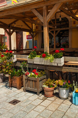 Fototapeta na wymiar Town flowers in the big wooden pots on street. Interior street cafe with flowers in wooden pot. High quality photo