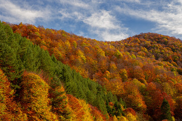 beautiful autumn lendscape in the Romanian mountains, Fantanele village area, Sibiu county, Cindrel mountains, Romania