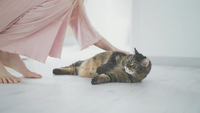 woman and her cat, relax at home
