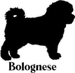 Bolognese Dog silhouette dog breeds logo dog monogram logo dog face vector
SVG