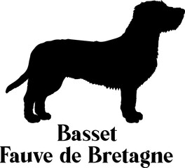 Basset Fauve de Bretagne Dog silhouette dog breeds logo dog monogram logo dog face vector
SVG