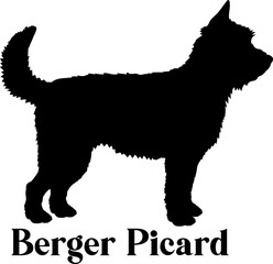  Berger Picard Dog silhouette dog breeds logo dog monogram logo dog face vector
SVG