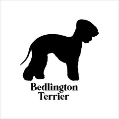 Bedlington Terrier Dog silhouette dog breeds logo dog monogram logo dog face vector
SVG