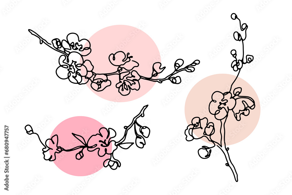 Wall mural Cherry blossom branches single line art collection. Black and white abstract sakura drawings set with nude pink color shapes. Monochrome outline vector illustration.