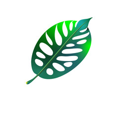 Monstera Leaf