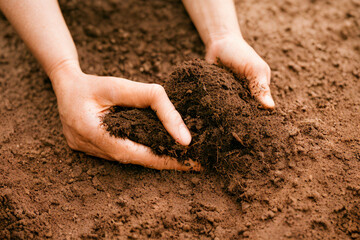 Farmer hands planting seeds in soil. Selective focus. nature.IA generativa