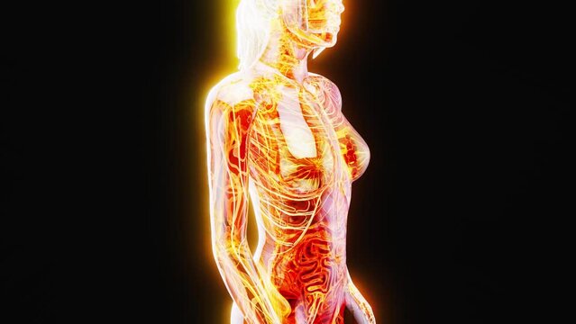 4K abstract animation of a woman walking