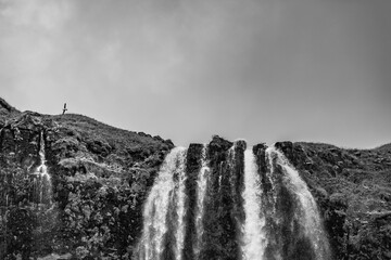 Black and white partial top view of waterfall in Iceland with flying seagull